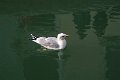 Venedig (98)
